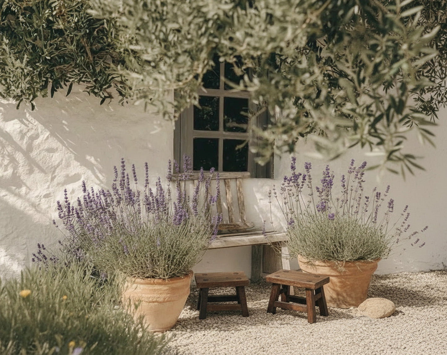 Wanco Roble M Torres del Paine