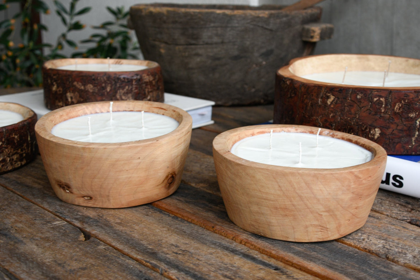 Vela de Soja S Ensenada