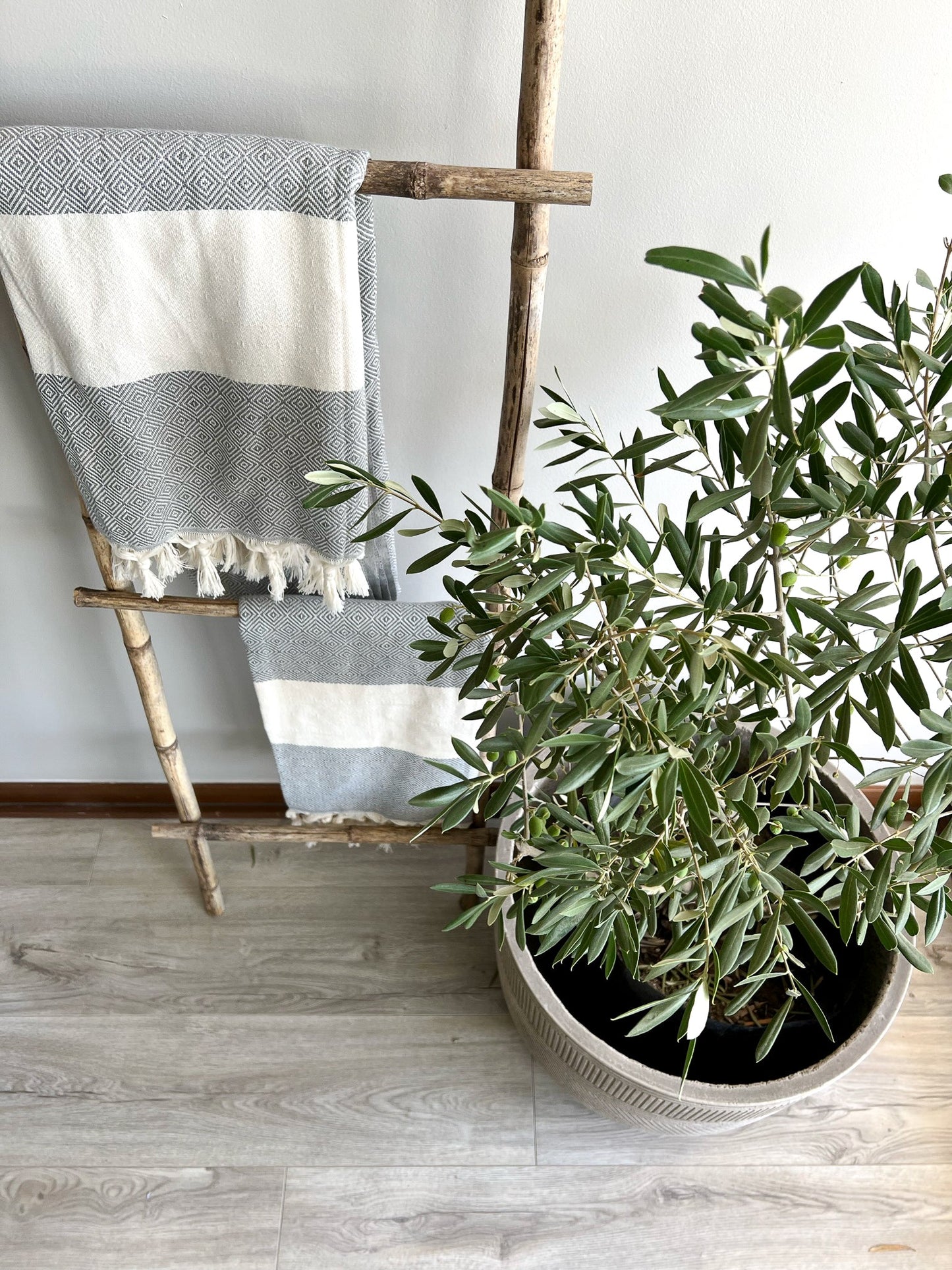 Escaleras Colihue Mocho