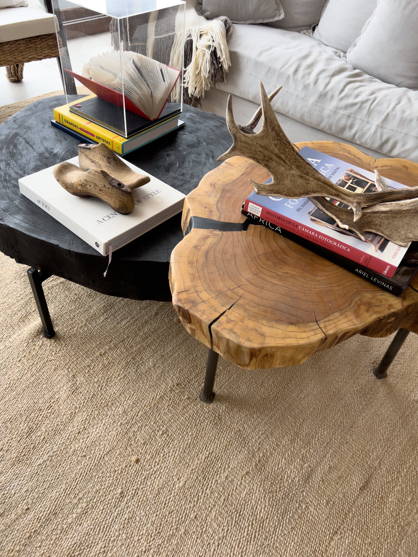 Mesas de Centro Sequoia Queulat