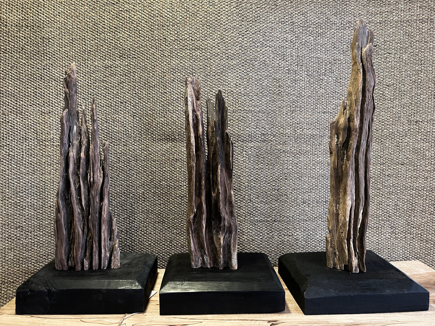 Escultura Palo Tortola