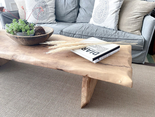 Mesa Centro Laurel Huapi