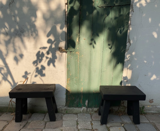 Wanco Roble S Negro Torres del Paine