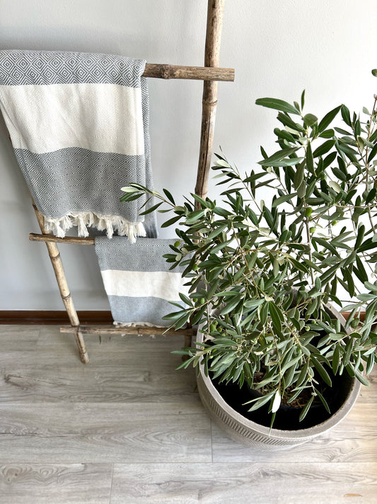 Escaleras Colihue Mocho