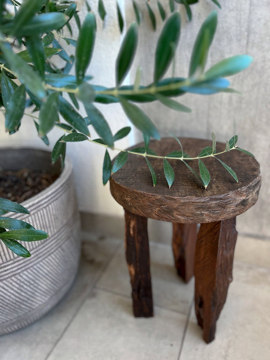 Piso M redondo antiguo Lonquimay