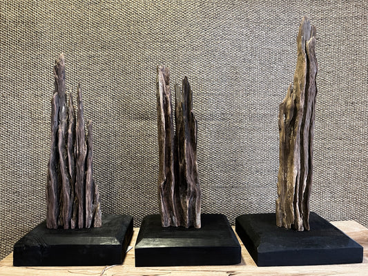 Escultura Palo Tortola