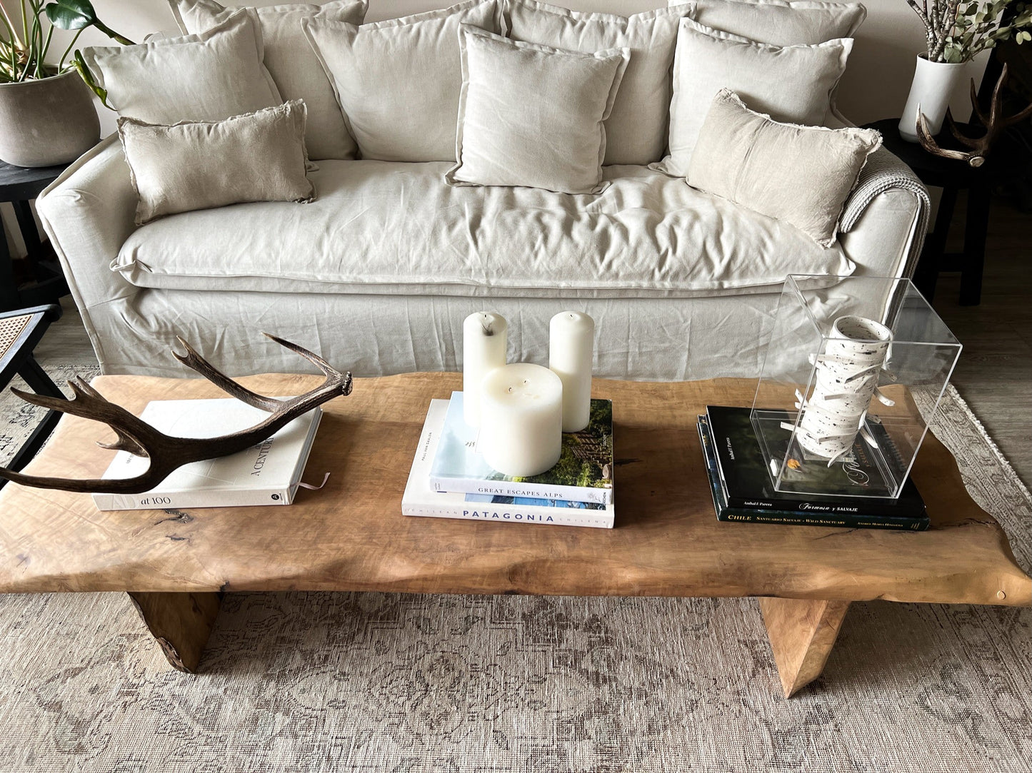 Mesa Centro Laurel Huapi